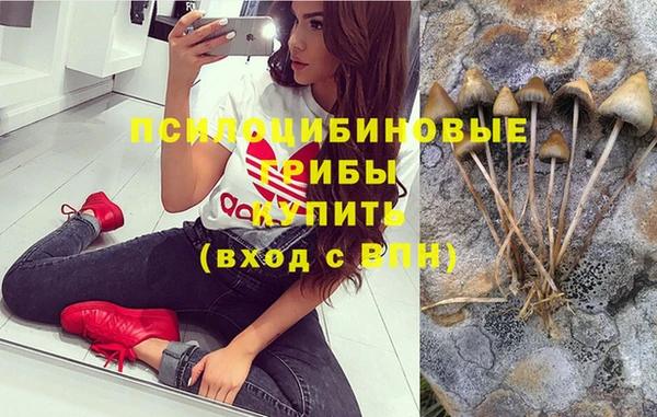 скорость Горно-Алтайск