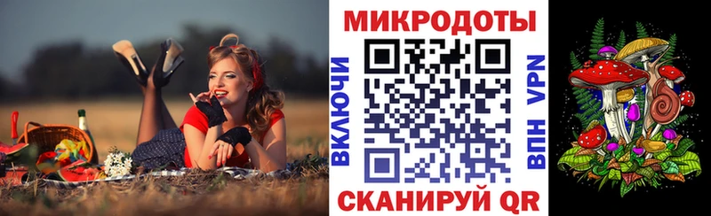 Купить где  Костерёво  Галлюциногенные грибы Magic Shrooms 