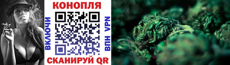 Купить  Костерёво  Бошки марихуана Bruce Banner 